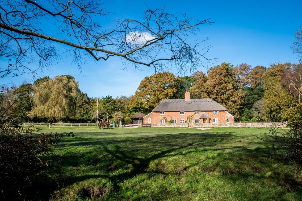 Thatched Cottage Brockenhurst Exterior foto